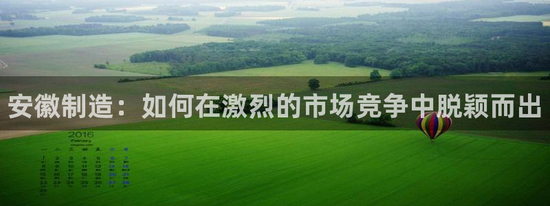 云顶国际林梧桐：安徽制造：如何在激烈的市场竞争中脱颖而出