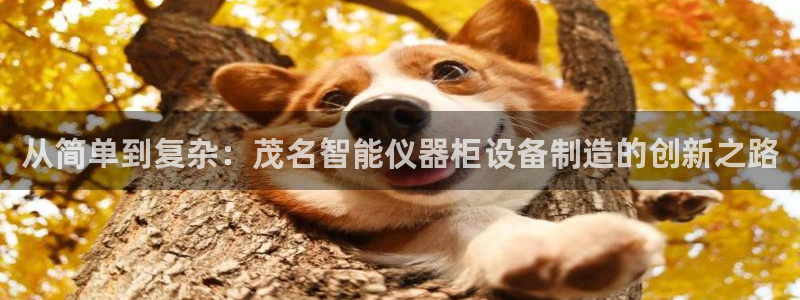 云顶mg网址：从简单到复杂：茂名智能仪器柜设备制造的创新之路
