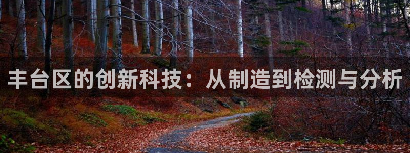 登录云顶集团：丰台区的创新科技：从制造到检测与分析