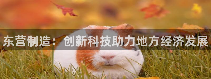 云顶国际是什么软件：东营制造：创新科技助力地方经济发展