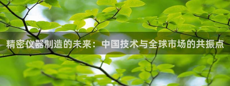 云顶集团投资是不是真的吗：精密仪器制造的未来：中国技术与全球