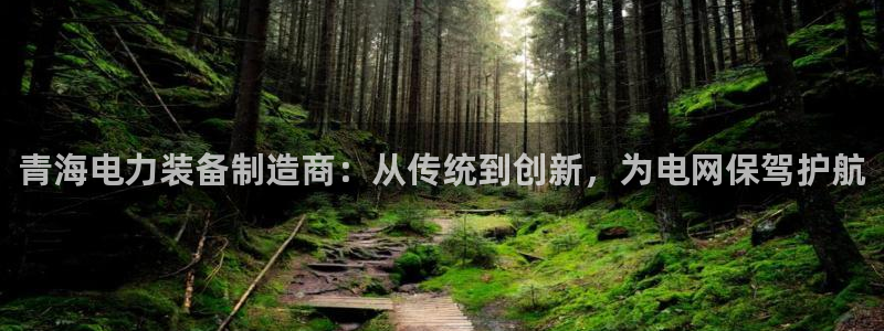 云顶国际在线登录官网：青海电力装备制造商：从传统到创新，为电