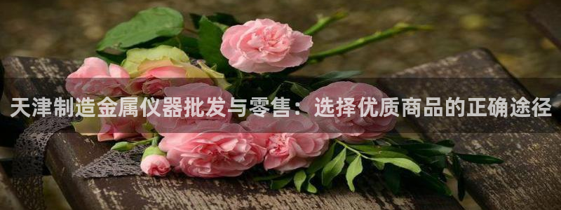云顶t00：天津制造金属仪器批发与零售：选择优质商品的正确途