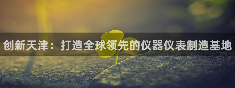 云顶国际百姓渔村最建议去吗：创新天津：打造全球领先的仪器仪表