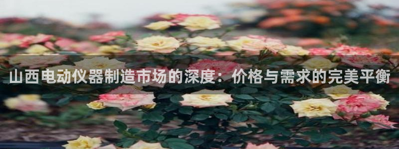 云顶国际怎么才能提现：山西电动仪器制造市场的深度：价格与需求