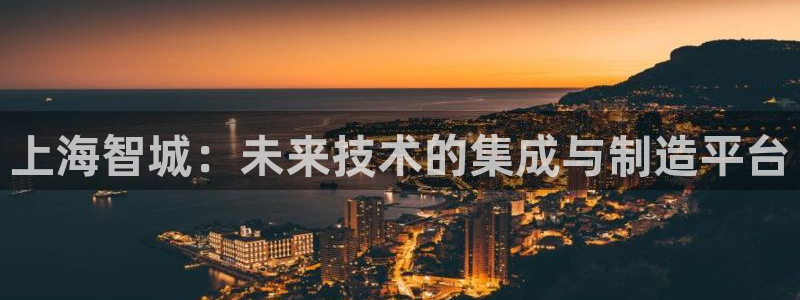 云顶国际服有中文吗：上海智城：未来技术的集成与制造平台