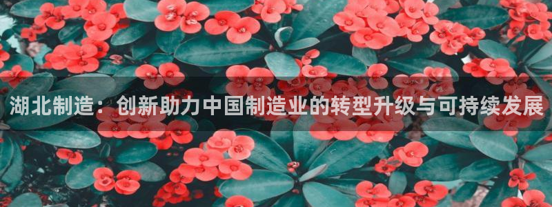 云顶集团董事长林东简历：湖北制造：创新助力中国制造业的转型升