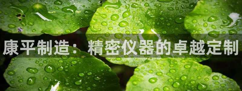 云顶国际平台怎么样：康平制造：精密仪器的卓越定制