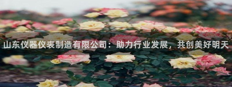 云顶国际手机app下载：山东仪器仪表制造有限公司：助力行业发