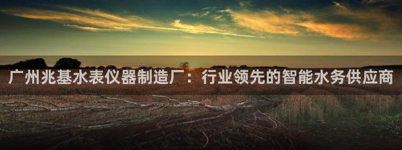 云顶国际酒店电话号码：广州兆基水表仪器制造厂：行业领先的智能