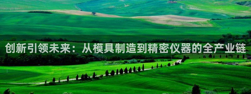 云顶国际实业有限公司：创新引领未来：从模具制造到精密仪器的全