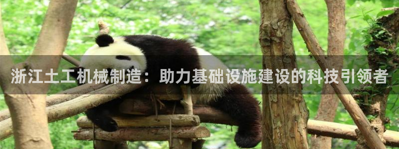 云顶国际麻将胡了多少张牌：浙江土工机械制造：助力基础设施建设