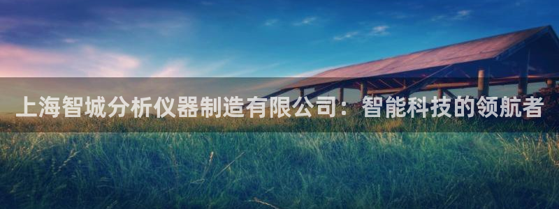 云顶国际培训中心官网：上海智城分析仪器制造有限公司：智能科技