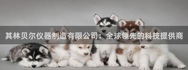 云顶集团老总简介：其林贝尔仪器制造有限公司：全球领先的科技提