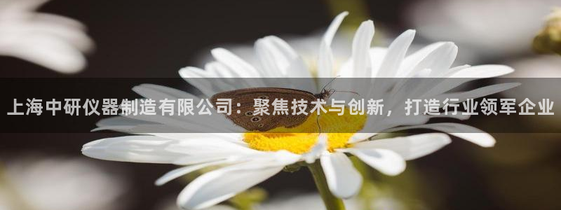 云顶国际服是哪个服：上海中研仪器制造有限公司：聚焦技术与创新