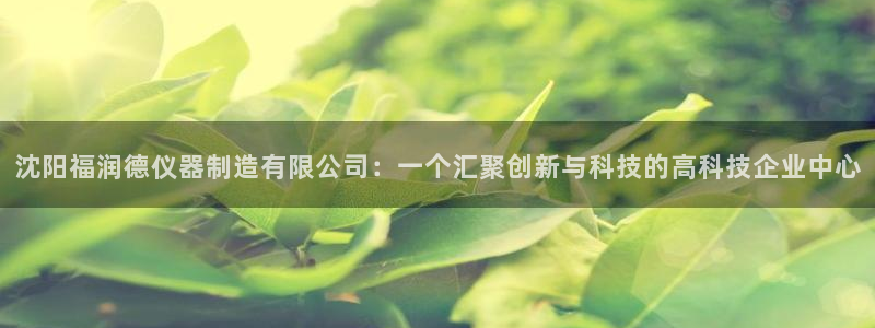 云顶国际pg网站：沈阳福润德仪器制造有限公司：一个汇聚创新与