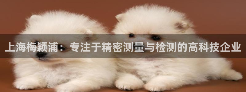 云顶平台的登录入口：上海梅颖浦：专注于精密测量与检测的高科技