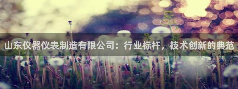 云顶国际集团发展有限公司国内项目总经理：山东仪器仪表制造有限
