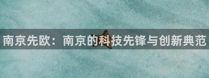 云顶国际服怎么下：南京先欧：南京的科技先锋与创新典范