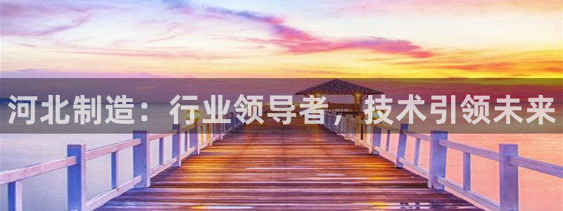 云顶国际赌彩公司下载：河北制造：行业领导者，技术引领未来