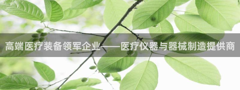 云顶讲解：高端医疗装备领军企业——医疗仪器与器械制造提供商