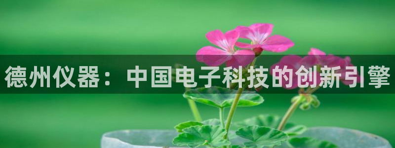 云顶国际高中：德州仪器：中国电子科技的创新引擎