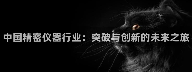 云顶国际服s9：中国精密仪器行业：突破与创新的未来之旅