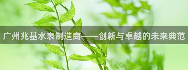 云顶国际软件官网下载：广州兆基水表制造商——创新与卓越的未来