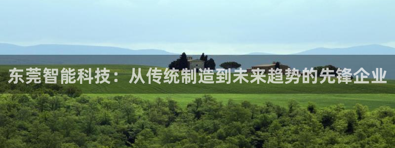 yd2333云顶电子游戏：东莞智能科技：从传统制造到未来趋势