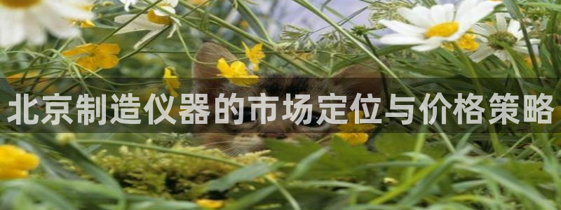 怎么下载云顶国际服：北京制造仪器的市场定位与价格策略
