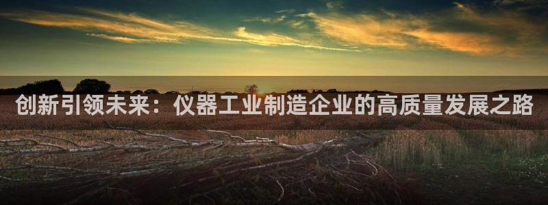 2020云顶：创新引领未来：仪器工业制造企业的高质量发展之路