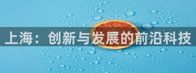 云顶国际服怎么登陆：上海：创新与发展的前沿科技