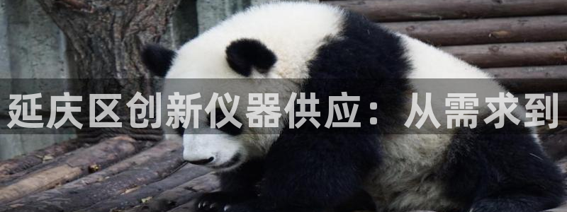 云顶国际官网app下载：延庆区创新仪器供应：从需求到