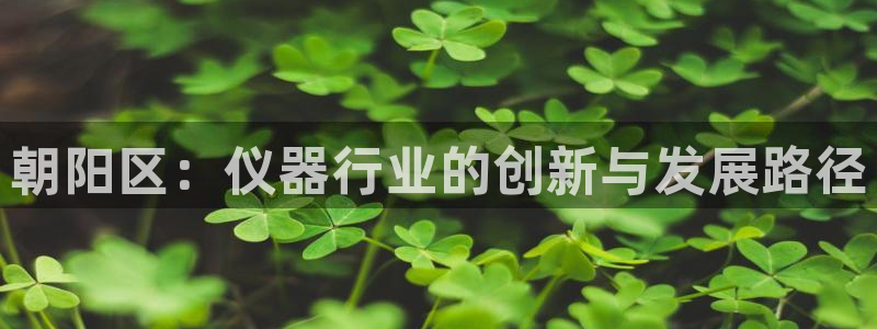 云顶国际平台游戏：朝阳区：仪器行业的创新与发展路径