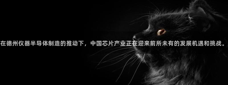 云顶国际二手房出售信息：在德州仪器半导体制造的推动下，中国芯