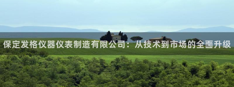 云顶国际会所：保定发格仪器仪表制造有限公司：从技术到市场的全