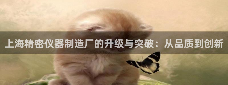 云顶国际(集团)开发实业有限公司：上海精密仪器制造厂的升级与