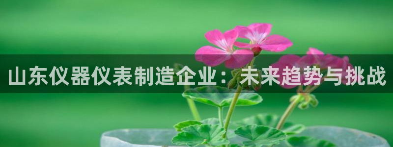 云顶国际官网app下载安装：山东仪器仪表制造企业：未来趋势与