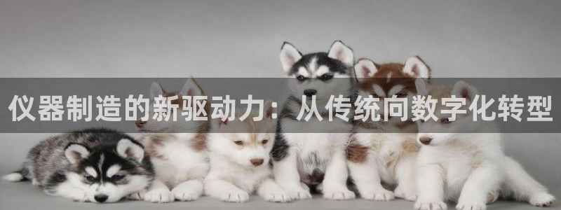 云顶国际app怎么样可靠吗：仪器制造的新驱动力：从传统向数字