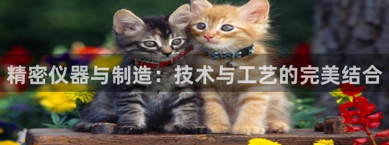 云顶集团网站多少钱一个：精密仪器与制造：技术与工艺的完美结合