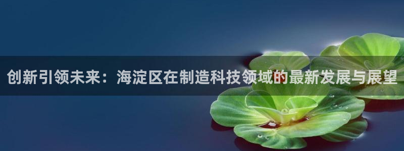 云顶国际(集团)开发实业有限公司：创新引领未来：海淀区在制造