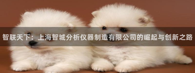 云顶集团有限公司简介电话：智联天下：上海智城分析仪器制造有限