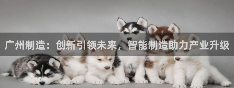 云顶国际取款多久到账啊：广州制造：创新引领未来，智能制造助力