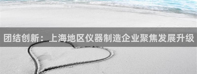 云顶集团有限公司,林东简历：团结创新：上海地区仪器制造企业聚