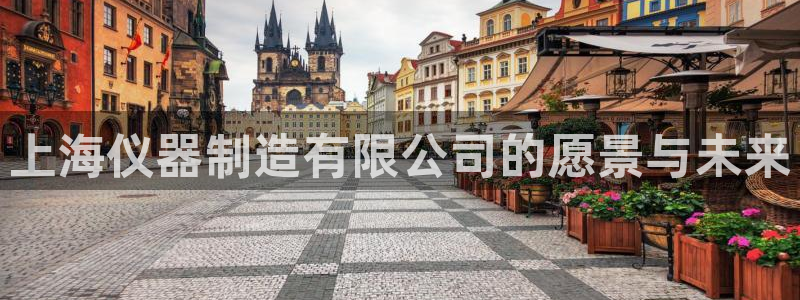 云顶国际ktv会所地址：上海仪器制造有限公司的愿景与未来