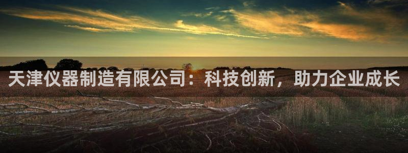 2021云顶玩法：天津仪器制造有限公司：科技创新，助力企业成