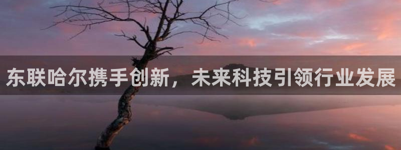 云顶国际宴会中心的凉菜：东联哈尔携手创新，未来科技引领行业发