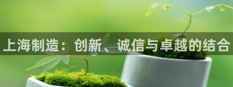 云顶平台网址：上海制造：创新、诚信与卓越的结合