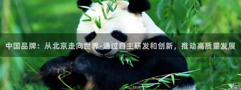 云顶国际ktv怎么样：中国品牌：从北京走向世界-通过自主研发