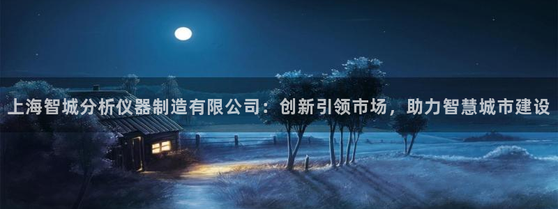 云顶国际服s6：上海智城分析仪器制造有限公司：创新引领市场，